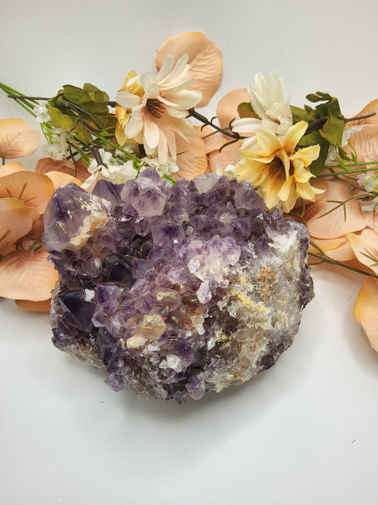 Amethyst Quartz Crystal Cluster