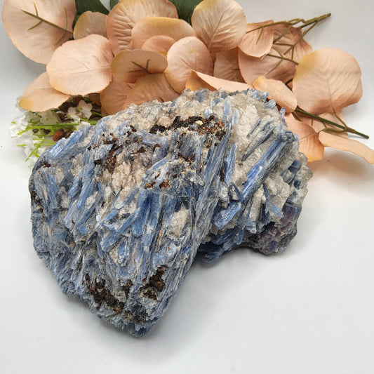 Kyanite Specimen