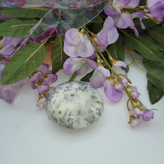 Dendritic Opal Palmstone